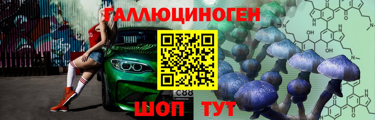 Псилоцибиновые грибы Psilocybe  Вход с VPN  Алексин  Галлюциногенные грибы Cubensis 